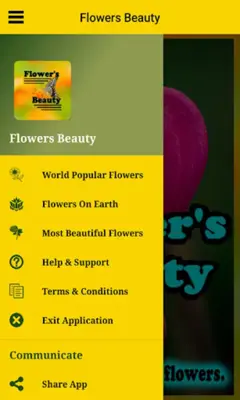 Flowers Beauty android App screenshot 10