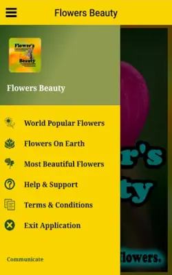 Flowers Beauty android App screenshot 2