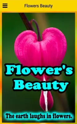 Flowers Beauty android App screenshot 3