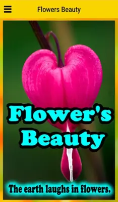 Flowers Beauty android App screenshot 7